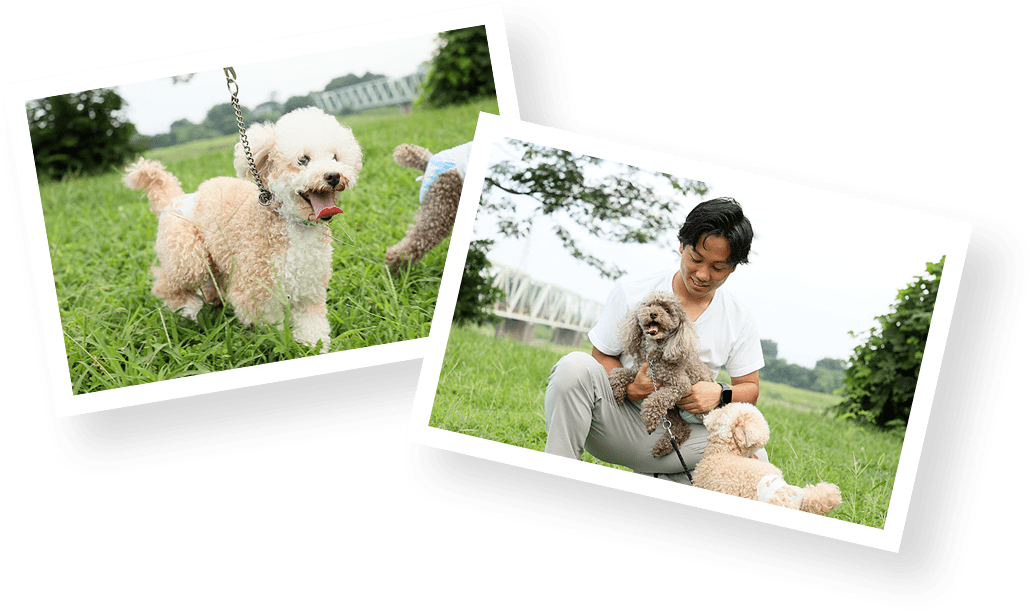 犬と遊ぶ代表者の写真