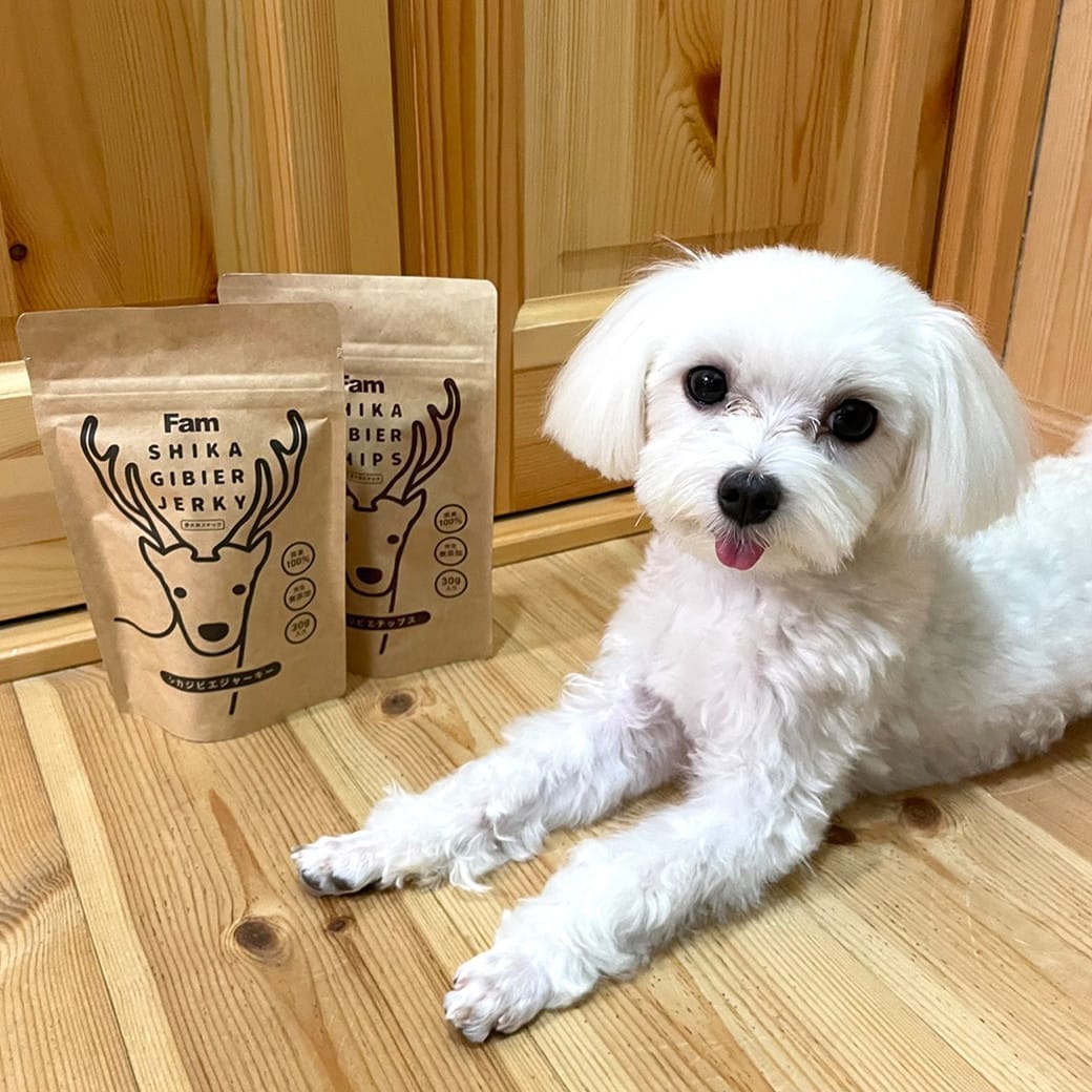 犬とジビエ商品の写真